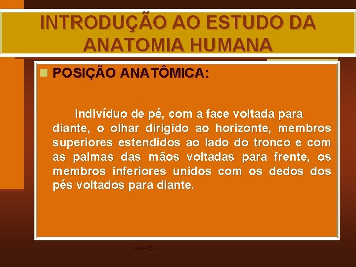 INTRODUÇÃO AO ESTUDO DA ANATOMIA HUMANA n POSIÇÃO ANATÔMICA: Indivíduo de pé, com a