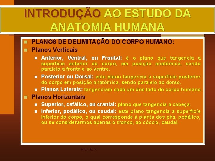 INTRODUÇÃO AO ESTUDO DA ANATOMIA HUMANA n PLANOS DE DELIMITAÇÃO DO CORPO HUMANO: n