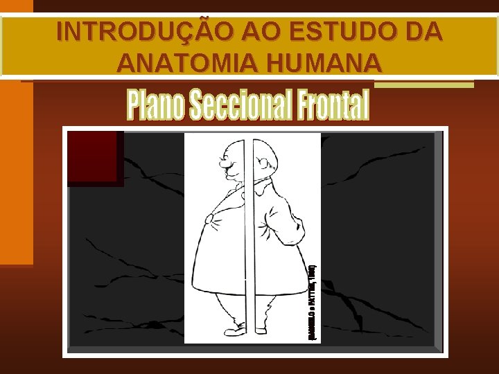 INTRODUÇÃO AO ESTUDO DA ANATOMIA HUMANA MAIA, R. G. 