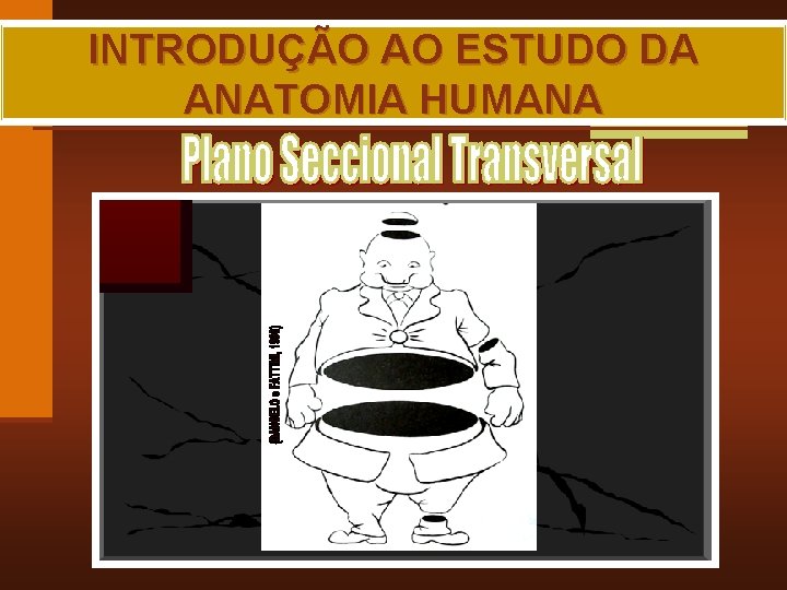 INTRODUÇÃO AO ESTUDO DA ANATOMIA HUMANA MAIA, R. G. 