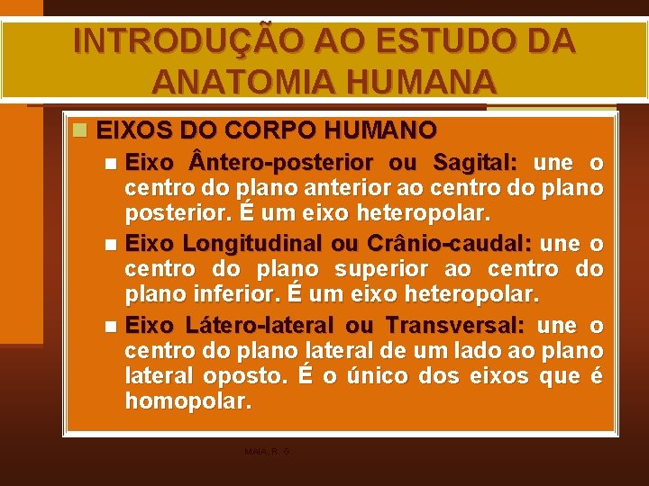 INTRODUÇÃO AO ESTUDO DA ANATOMIA HUMANA n EIXOS DO CORPO HUMANO n Eixo ntero-posterior