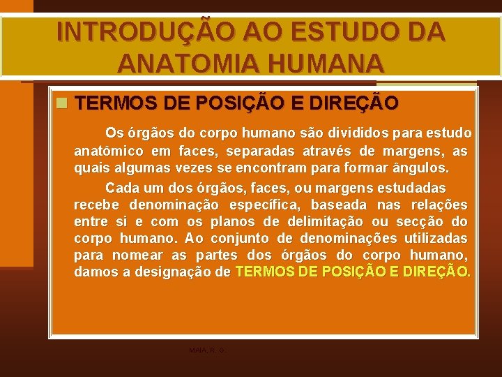 INTRODUÇÃO AO ESTUDO DA ANATOMIA HUMANA n TERMOS DE POSIÇÃO E DIREÇÃO Os órgãos