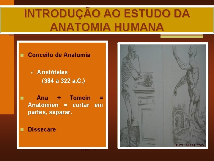 INTRODUÇÃO AO ESTUDO DA ANATOMIA HUMANA n Conceito de Anatomia ü n Aristóteles (384