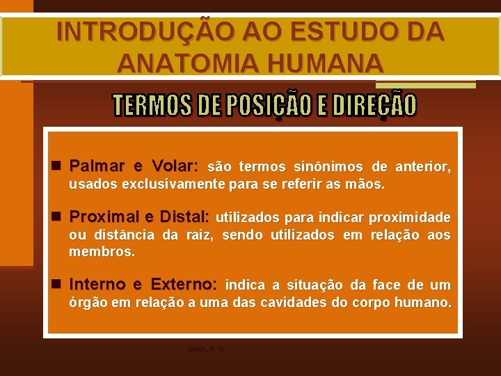 INTRODUÇÃO AO ESTUDO DA ANATOMIA HUMANA n Palmar e Volar: são termos sinônimos de