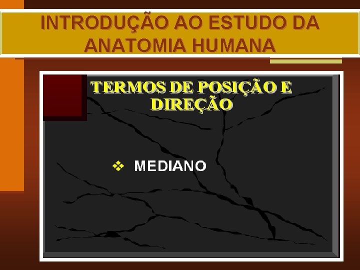 INTRODUÇÃO AO ESTUDO DA ANATOMIA HUMANA MAIA, R. G. 
