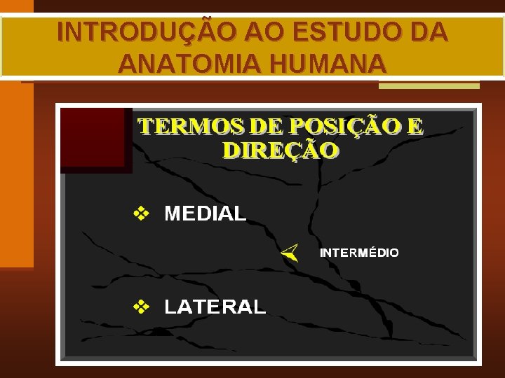 INTRODUÇÃO AO ESTUDO DA ANATOMIA HUMANA MAIA, R. G. 