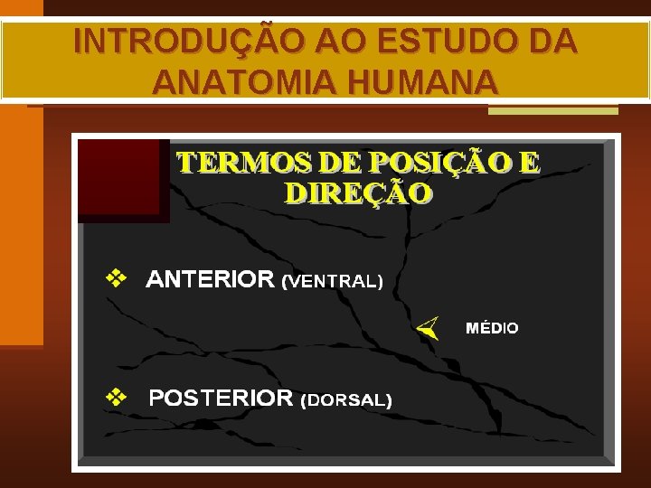 INTRODUÇÃO AO ESTUDO DA ANATOMIA HUMANA MAIA, R. G. 