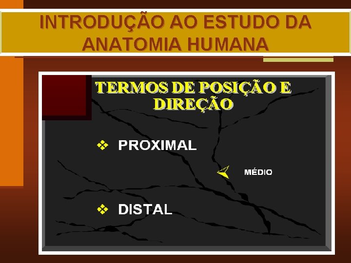 INTRODUÇÃO AO ESTUDO DA ANATOMIA HUMANA MAIA, R. G. 