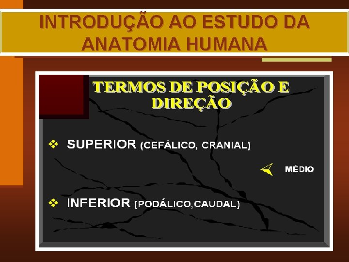 INTRODUÇÃO AO ESTUDO DA ANATOMIA HUMANA MAIA, R. G. 