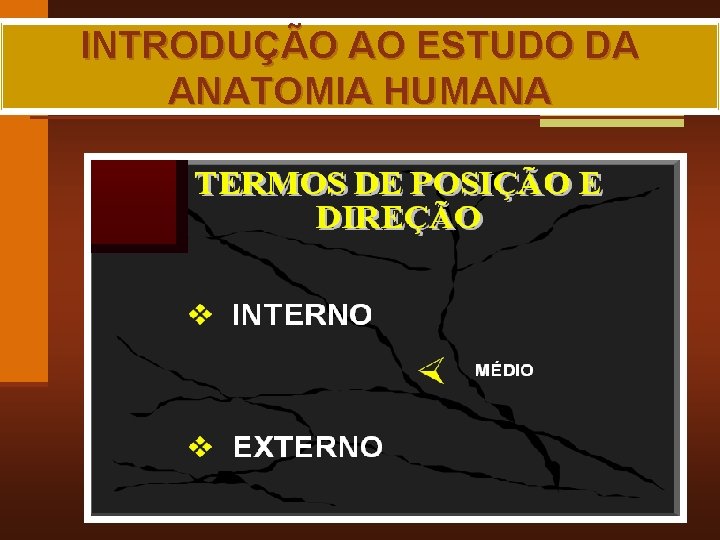 INTRODUÇÃO AO ESTUDO DA ANATOMIA HUMANA MAIA, R. G. 