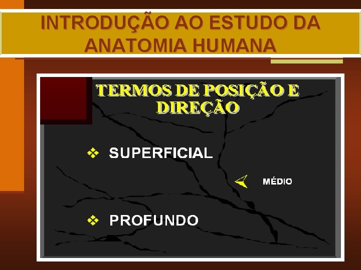 INTRODUÇÃO AO ESTUDO DA ANATOMIA HUMANA MAIA, R. G. 