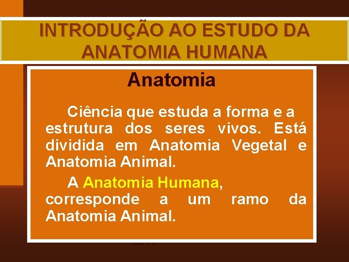 INTRODUÇÃO AO ESTUDO DA ANATOMIA HUMANA Anatomia Ciência que estuda a forma e a