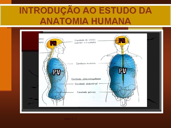 INTRODUÇÃO AO ESTUDO DA ANATOMIA HUMANA MAIA, R. G. 