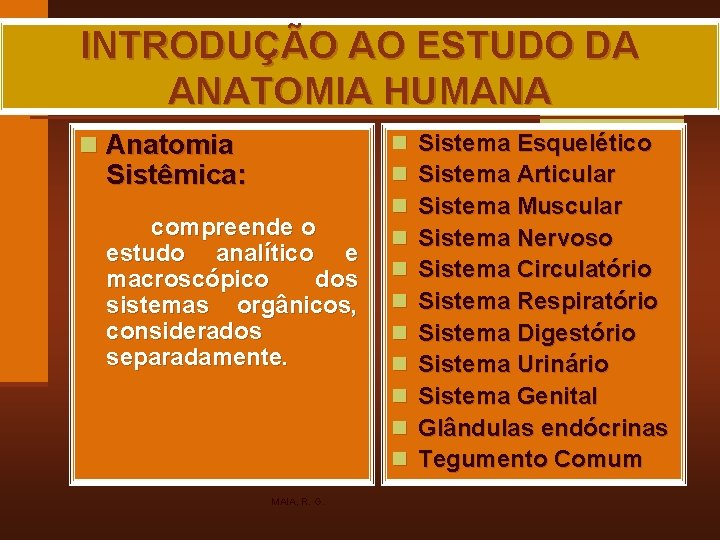 INTRODUÇÃO AO ESTUDO DA ANATOMIA HUMANA n Anatomia Sistêmica: compreende o estudo analítico e