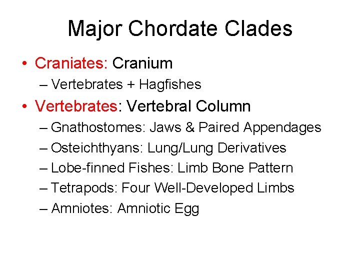 Major Chordate Clades • Craniates: Cranium – Vertebrates + Hagfishes • Vertebrates: Vertebral Column