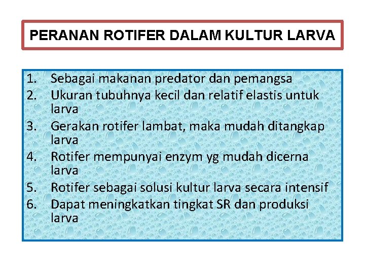PERANAN ROTIFER DALAM KULTUR LARVA 1. Sebagai makanan predator dan pemangsa 2. Ukuran tubuhnya