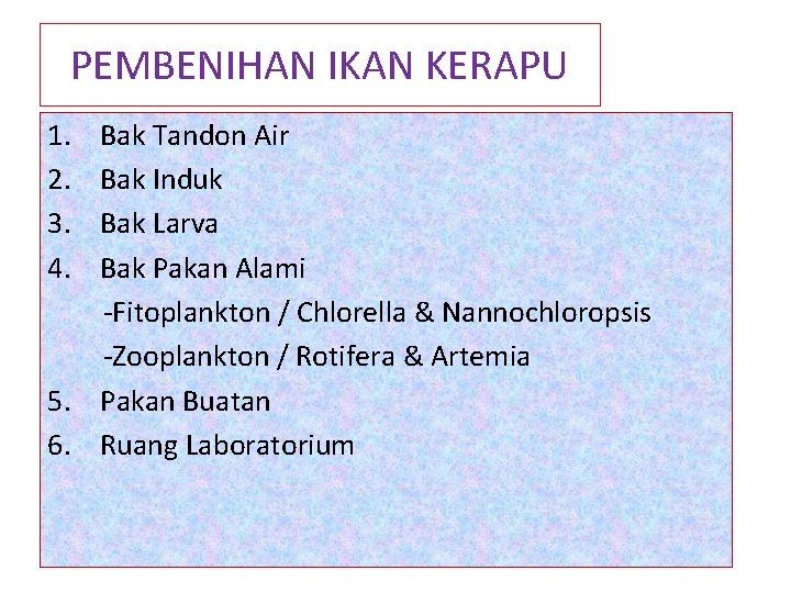 PEMBENIHAN IKAN KERAPU 1. 2. 3. 4. Bak Tandon Air Bak Induk Bak Larva