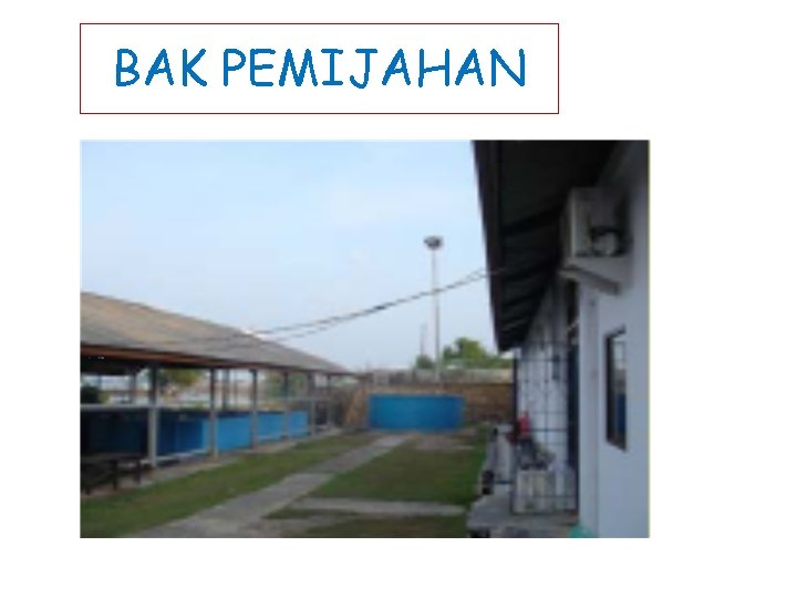 BAK PEMIJAHAN 
