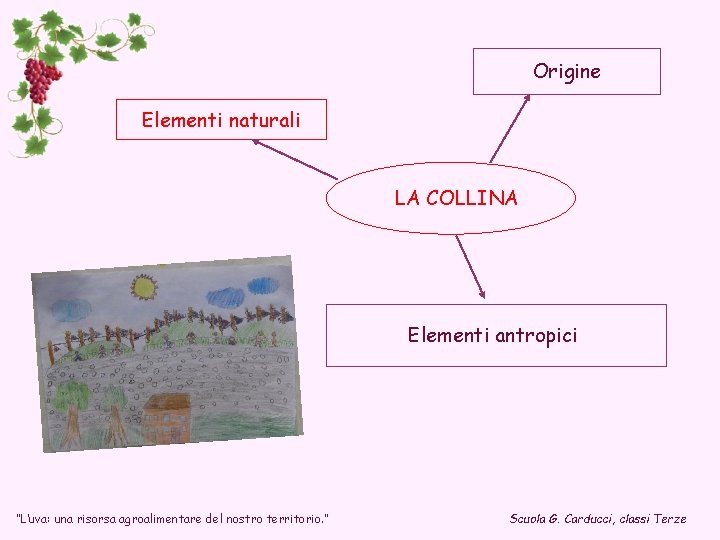 Origine Elementi naturali LA COLLINA Elementi antropici “L’uva: una risorsa agroalimentare del nostro territorio.
