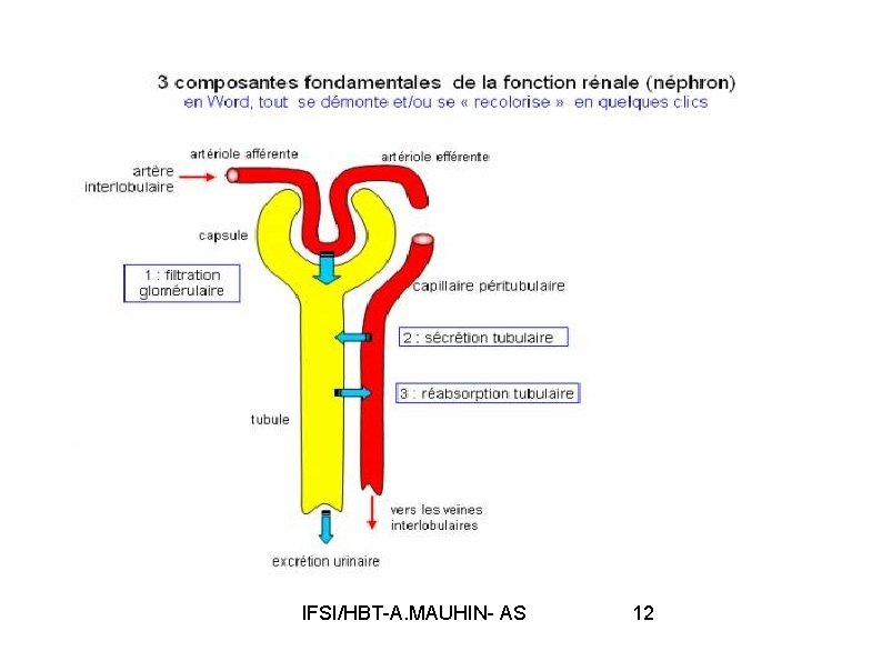 IFSI/HBT-A. MAUHIN- AS 12 