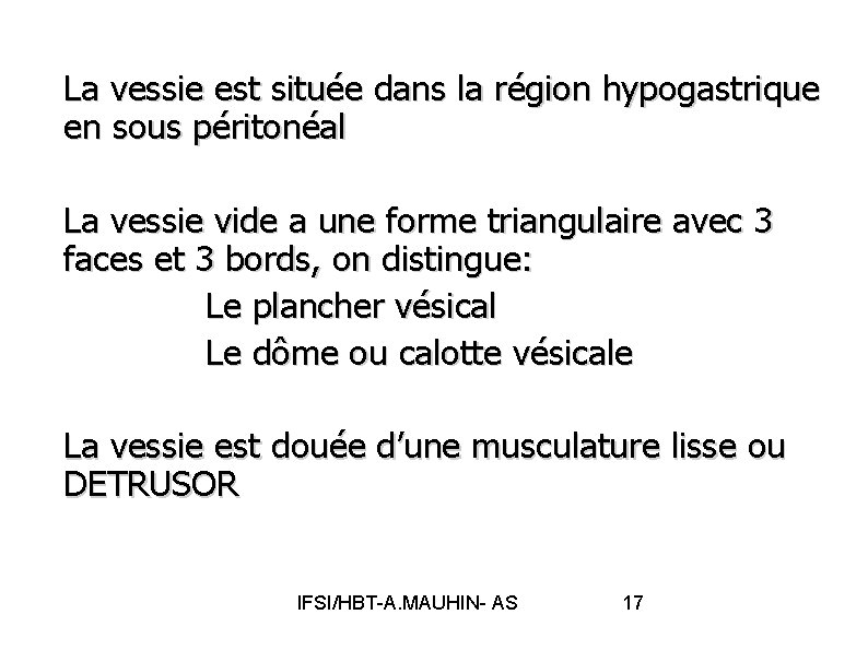 La vessie est située dans la région hypogastrique en sous péritonéal La vessie vide
