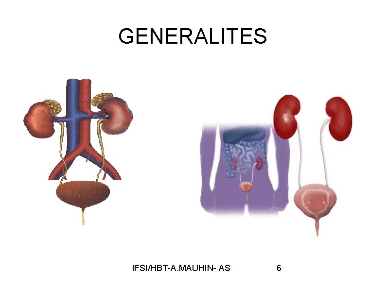 GENERALITES IFSI/HBT-A. MAUHIN- AS 6 