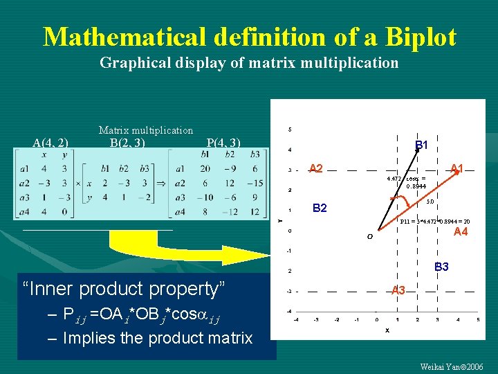 Mathematical definition of a Biplot Graphical display of matrix multiplication A(4, 2) Matrix multiplication