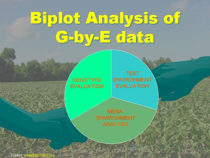 Biplot Analysis of G-by-E data GENOTYPE EVALUATION TEST ENVIRONMENT EVALUATION MEGAENVIRONMENT ANALYSIS Contact: wyan@ggebiplot.