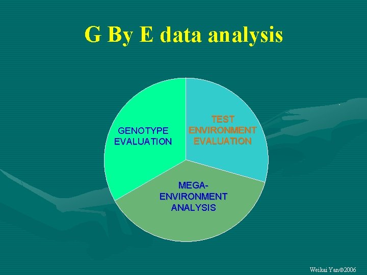 G By E data analysis GENOTYPE EVALUATION TEST ENVIRONMENT EVALUATION MEGAENVIRONMENT ANALYSIS Weikai Yan