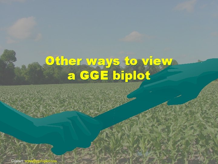 Other ways to view a GGE biplot Contact: wyan@ggebiplot. com 