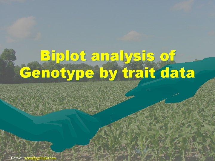 Biplot analysis of Genotype by trait data Contact: wyan@ggebiplot. com 