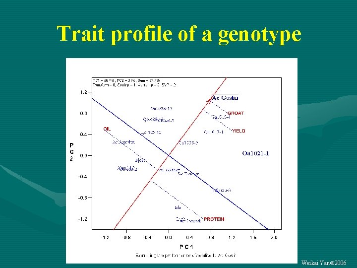 Trait profile of a genotype Weikai Yan 2006 