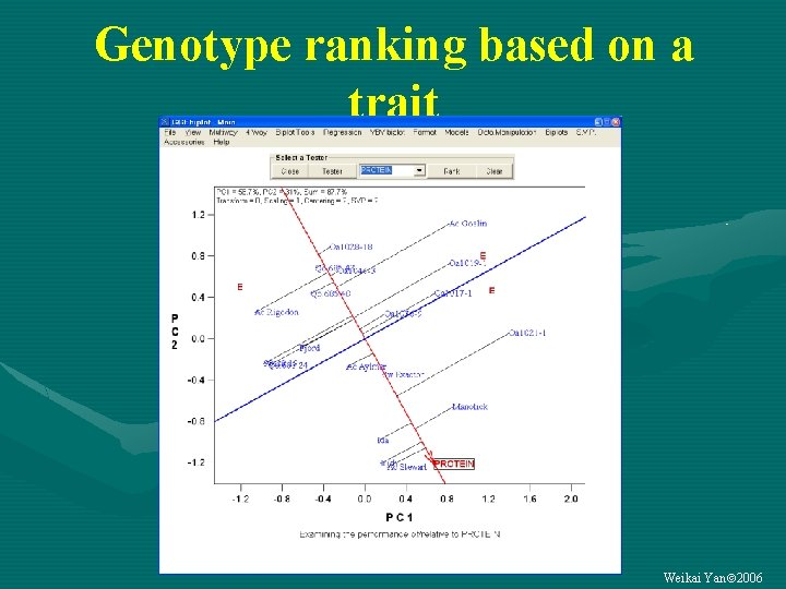 Genotype ranking based on a trait Weikai Yan 2006 
