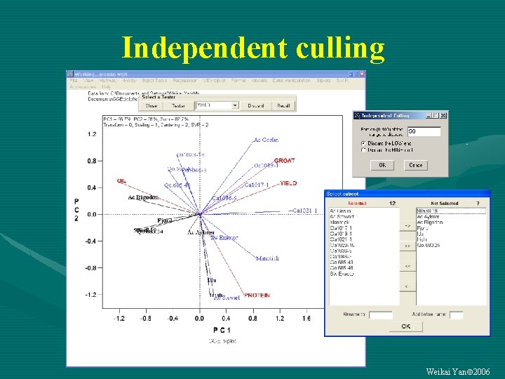 Independent culling Weikai Yan 2006 