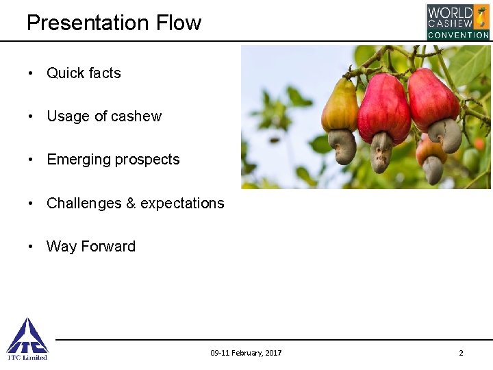 Presentation Flow • Quick facts • Usage of cashew • Emerging prospects • Challenges