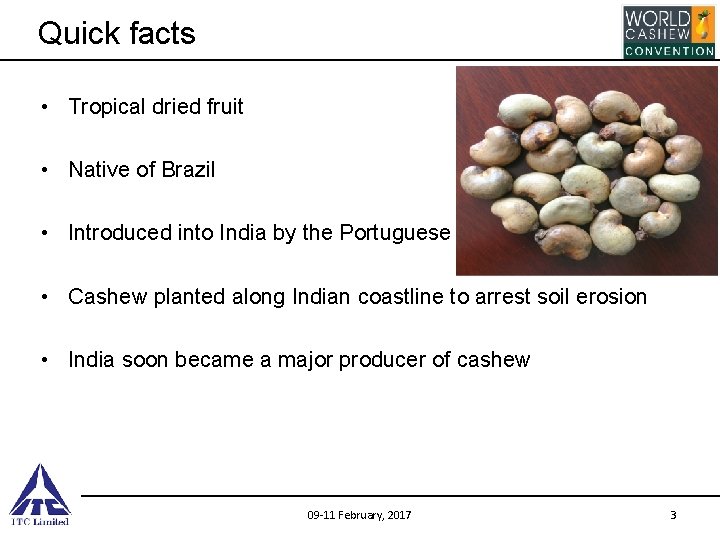 Quick facts • Tropical dried fruit • Native of Brazil • Introduced into India