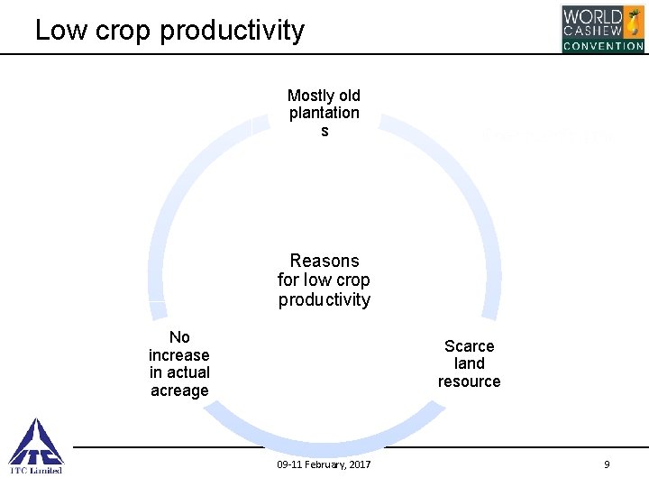 Low crop productivity Mostly old plantation s Reasons for low crop productivity No increase