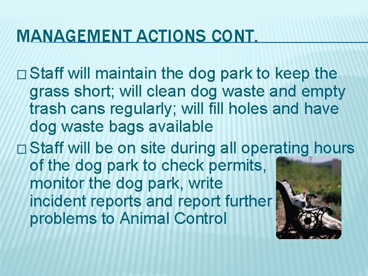MANAGEMENT ACTIONS CONT. � Staff will maintain the dog park to keep the grass