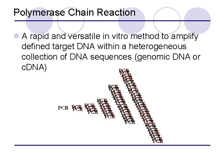 Polymerase Chain Reaction l A rapid and versatile in vitro method to amplify defined