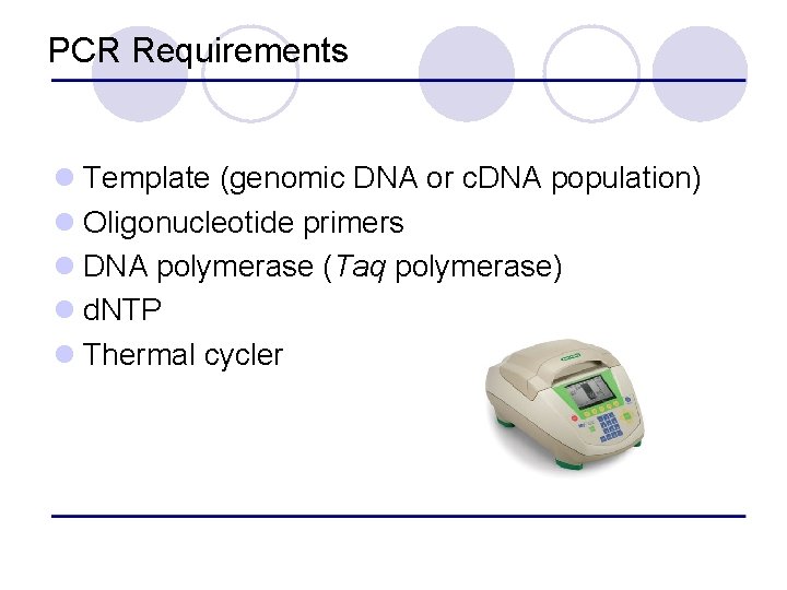 PCR Requirements l Template (genomic DNA or c. DNA population) l Oligonucleotide primers l