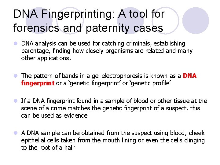 DNA Fingerprinting: A tool forensics and paternity cases l DNA analysis can be used