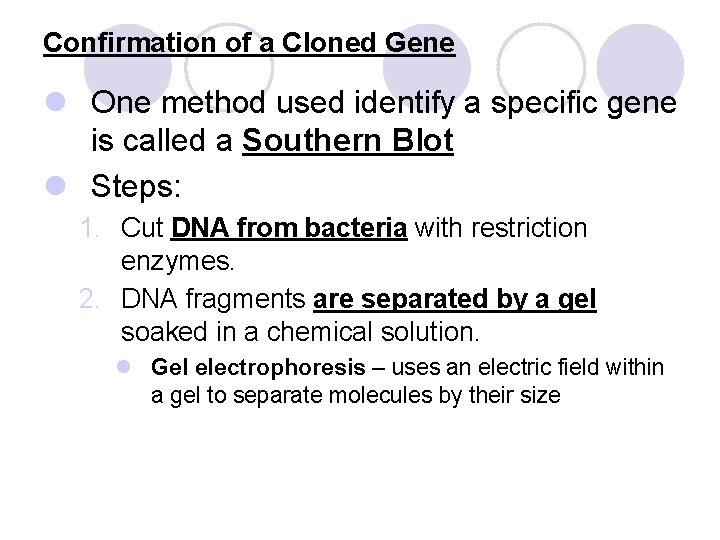 Confirmation of a Cloned Gene l One method used identify a specific gene is