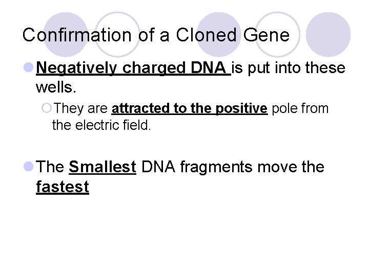 Confirmation of a Cloned Gene l Negatively charged DNA is put into these wells.