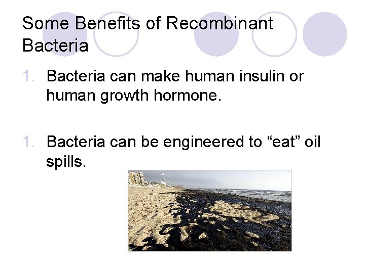 Some Benefits of Recombinant Bacteria 1. Bacteria can make human insulin or human growth