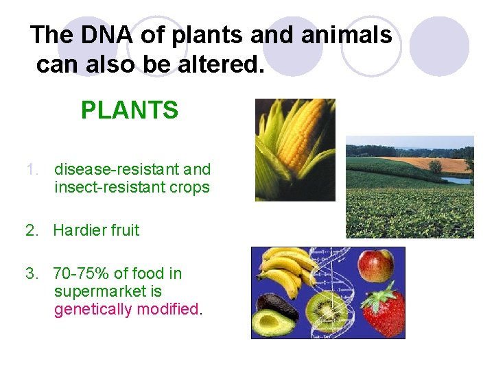The DNA of plants and animals can also be altered. PLANTS 1. disease-resistant and