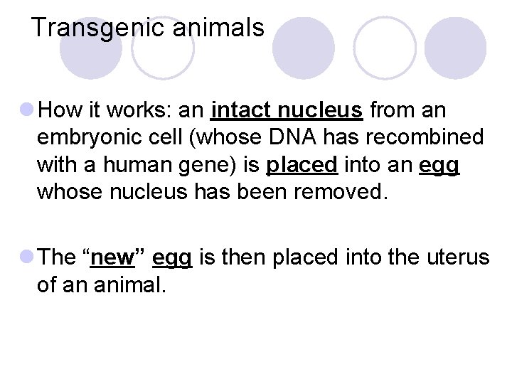 Transgenic animals l How it works: an intact nucleus from an embryonic cell (whose