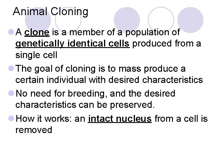 Animal Cloning l A clone is a member of a population of genetically identical