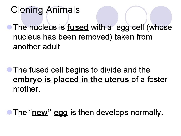 Cloning Animals l The nucleus is fused with a egg cell (whose nucleus has