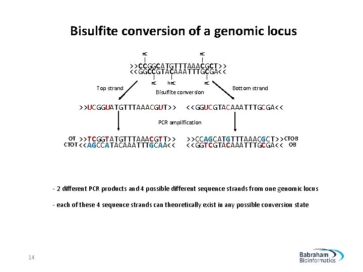 Bisulfite conversion of a genomic locus m. C | >>CCGGCATGTTTAAACGCT>> <<GGCCGTACAAATTTGCGA<< Top strand |