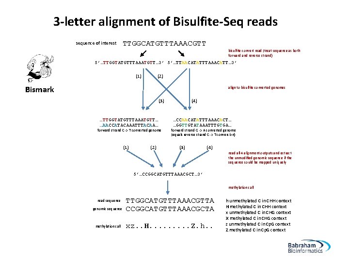 3 -letter alignment of Bisulfite-Seq reads sequence of interest TTGGCATGTTTAAACGTT bisulfite convert read (treat